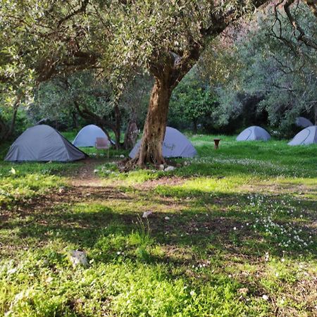 Gjipe Eco Campground Hotel Vuno Exterior photo